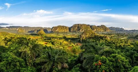 Pinar del Río Eyaleti