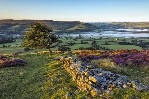 Derbyshire