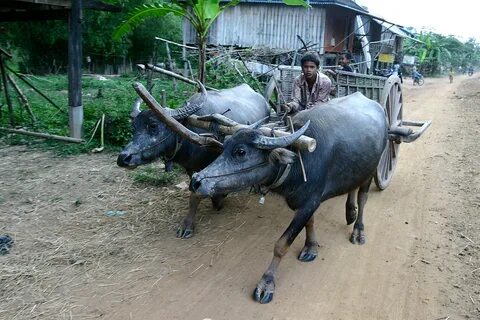 Stung Treng