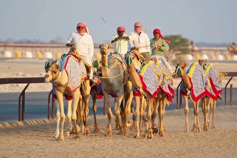 Al-Shahaniya