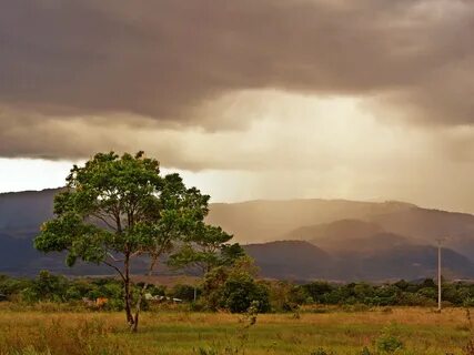 Casanare