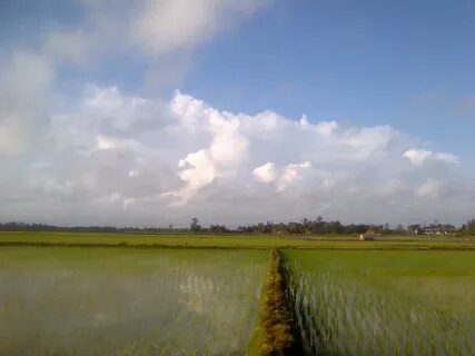 Satkhira Bölgesi