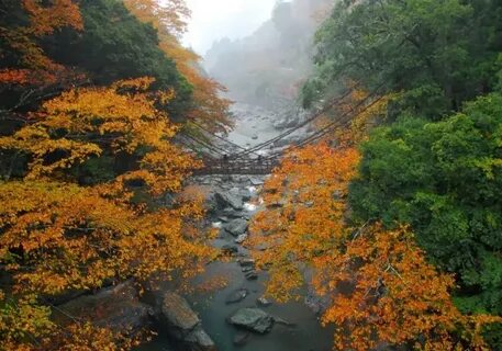 Tokushima Eyaleti