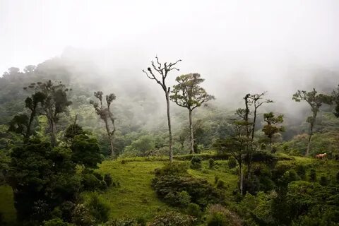 Puntarenas Eyaleti
