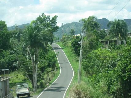 Morovis