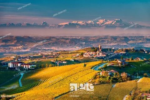 Cuneo