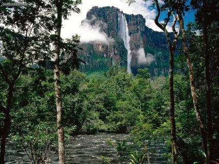 Yaracuy