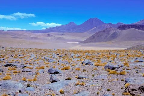 Atacama