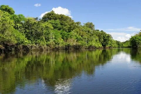 Amazonlar