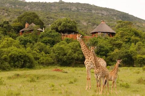Limpopo