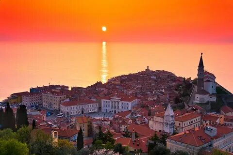 Piran Belediyesi