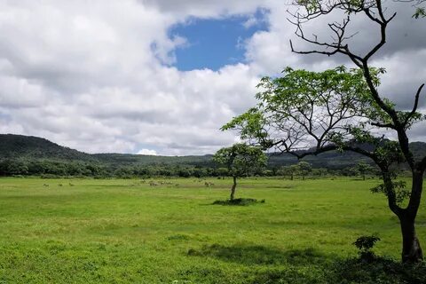 Arusha