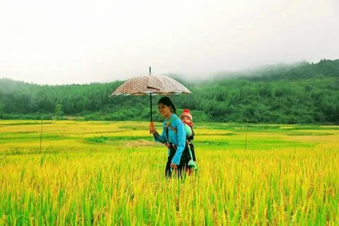 Cao Bằng