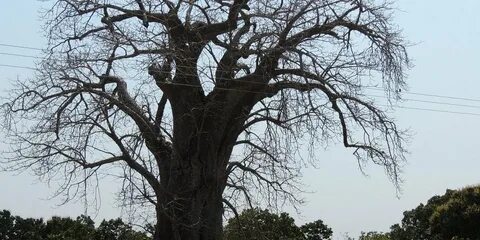 Nampula Eyaleti