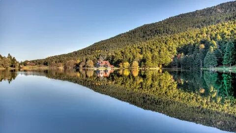 Bolu