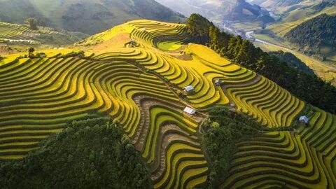 Tuyên Quang