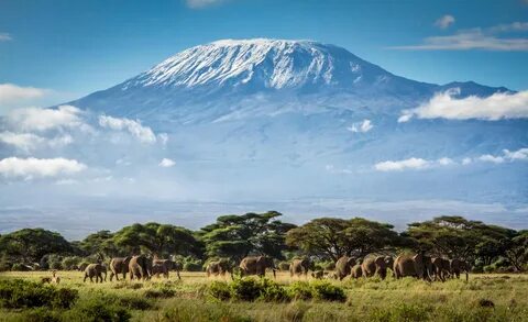Kilimanjaro