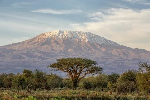 Kilimanjaro