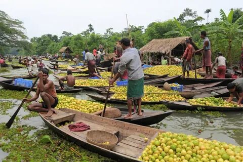 Barisal Bölgesi