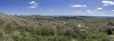 Lavalleja