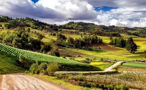 Casanare