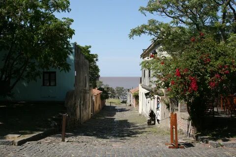 Koloni