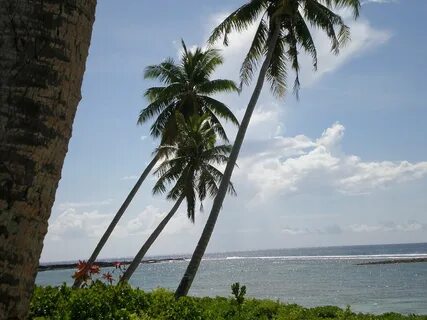 Vaisigano