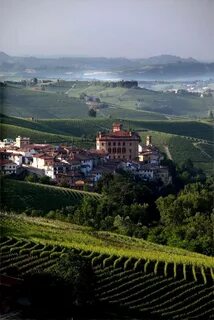 Cuneo