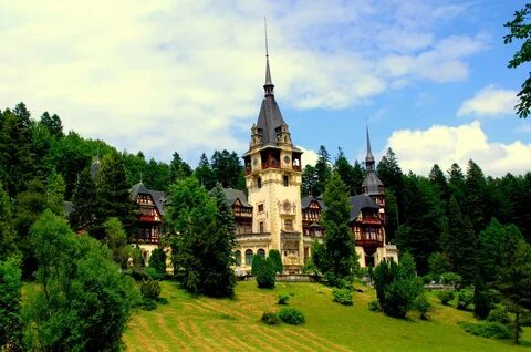 Bacău İlçesi