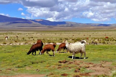 La Pampa