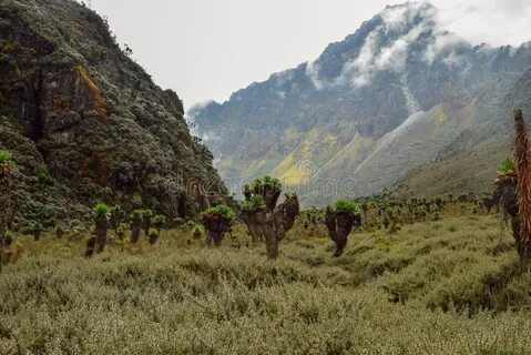 Kasese Bölgesi