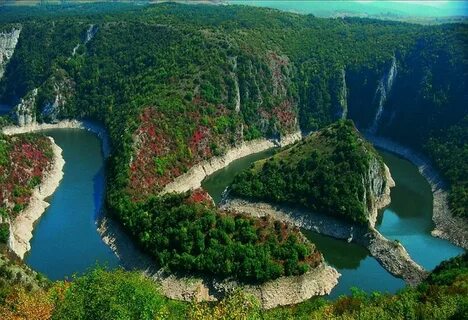 Güney Backa Bölgesi