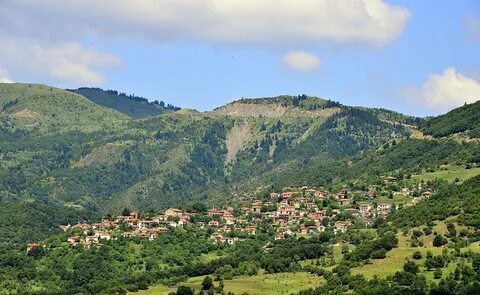 Karditsa Bölge Birimi