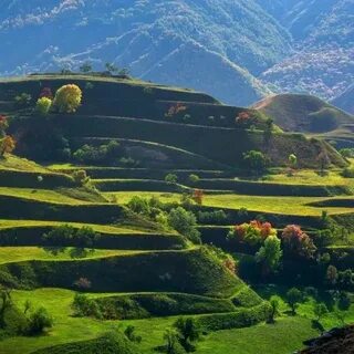 Dağıstan Cumhuriyeti