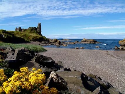 Güney Ayrshire