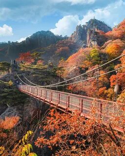 Güney Jeolla Eyaleti