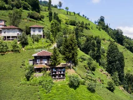 Rize