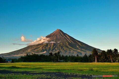 Albay