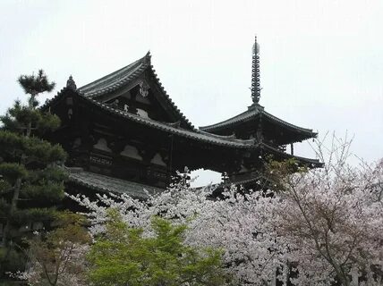 Nara İli