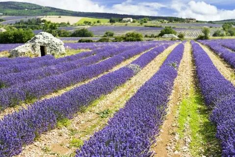 Alpes-de-Haute-Provence