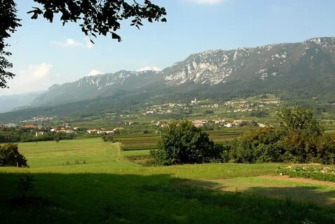 Vipava Belediyesi