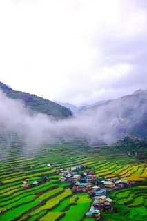 Ifugao