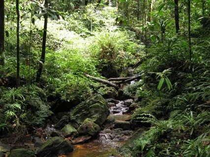 Sabaragamuwa Eyaleti