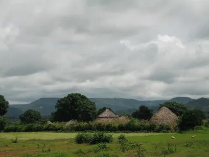 Mamou Bölgesi