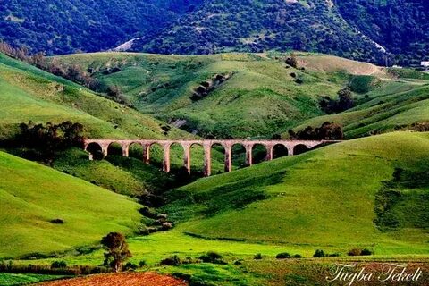 Tizi Ouzou
