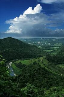 Ciales