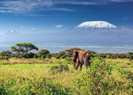 Arusha