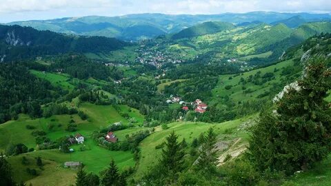 Călărași İlçesi