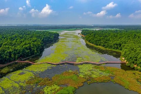 Dinajpur Bölgesi