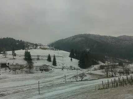 Selnica ob Dravi Belediyesi